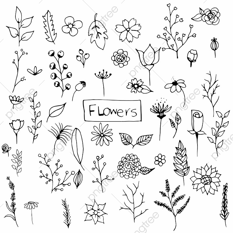 Hand Drawn Flower Vector At Collection Of Hand Drawn