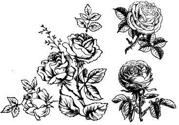 Hand Drawing Flowers Free Vector Download 367x256 Hand Drawing Flowers Free Vector Download