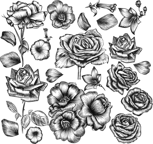 Hand Drawn Flower Vector Material Free Download 500x471 Hand Drawn Flower Vector Material Free Download
