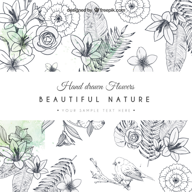 Hand Drawn Flowers Card Vector Free Download 626x626 Hand Drawn Flowers Card Vector Free Download