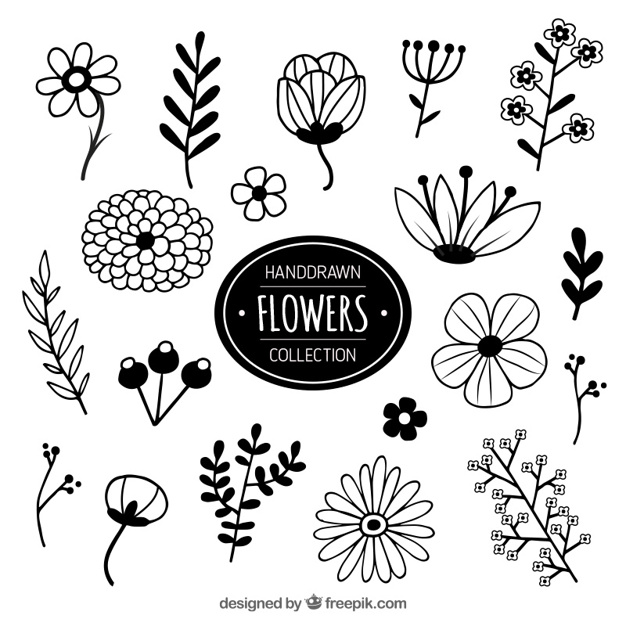 Collection Of Hand Drawn Flowers Vector Free Download 626x626 Collection Of Hand Drawn Flowers Vector Free Download