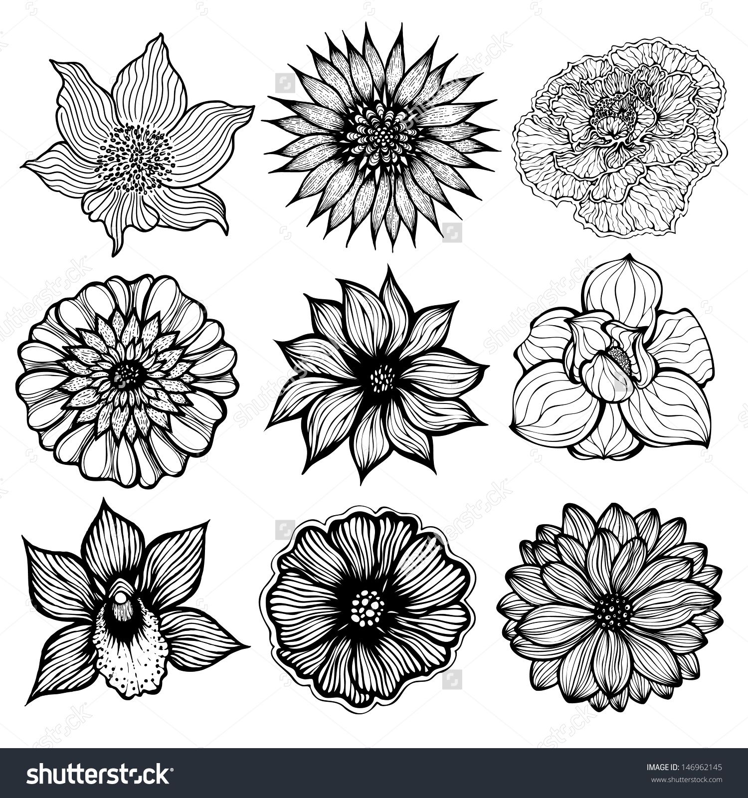 Set Of Different Hand Drawn Flowers, Black And White Isolated 1500x1600 Set Of Different Hand Drawn Flowers, Black And White Isolated