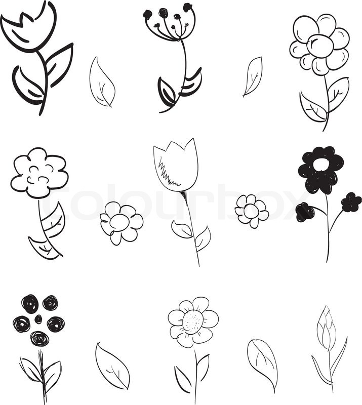 Set Of Hand Drawn Flowers Stock Vector Colourbox 715x800 Set Of Hand Drawn Flowers Stock Vector Colourbox