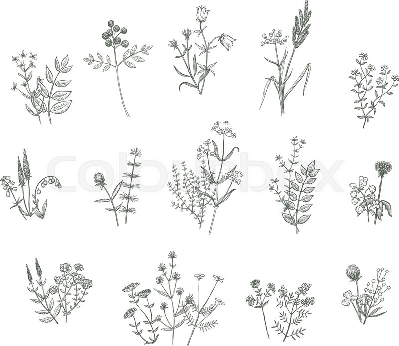 Set Of Vector Sketchy Hand Drawn Stock Vector Colourbox 800x693 Set Of Vector Sketchy Hand Drawn Stock Vector Colourbox