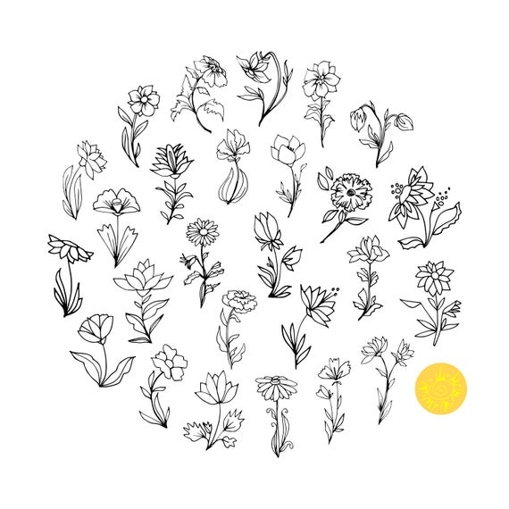 Vector Blooms Hand Drawn Flowers With Leaves Stems Buds And Etsy 570x570 Vector Blooms Hand Drawn Flowers With Leaves Stems Buds And Etsy