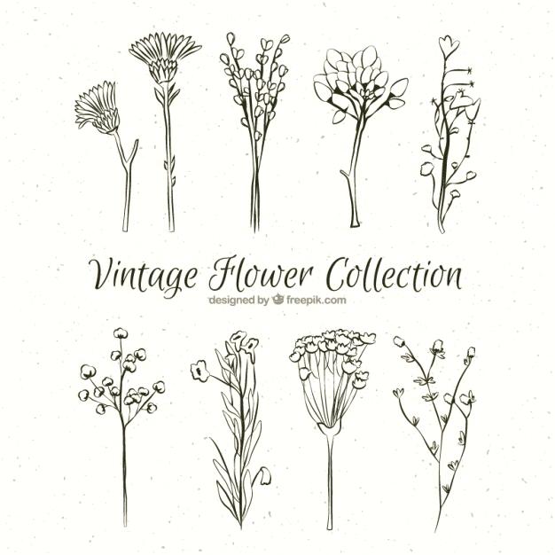 Hand Drawn Flowers Vector 626x626 Hand Drawn Flowers Vector