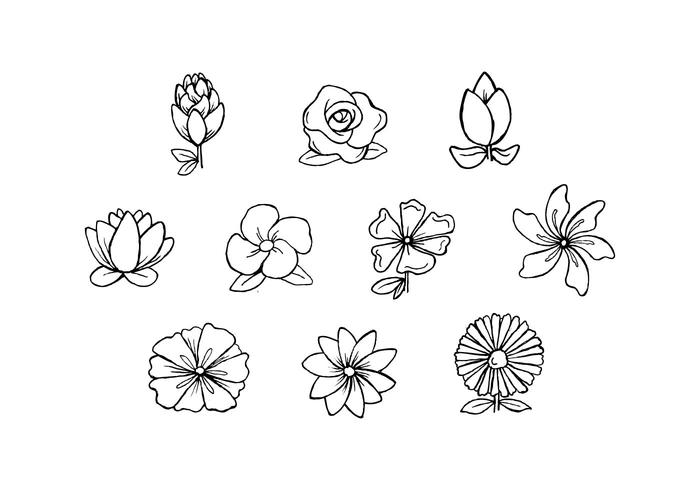 Free Flowers Hand Drawn Vector 700x490 Free Flowers Hand Drawn Vector