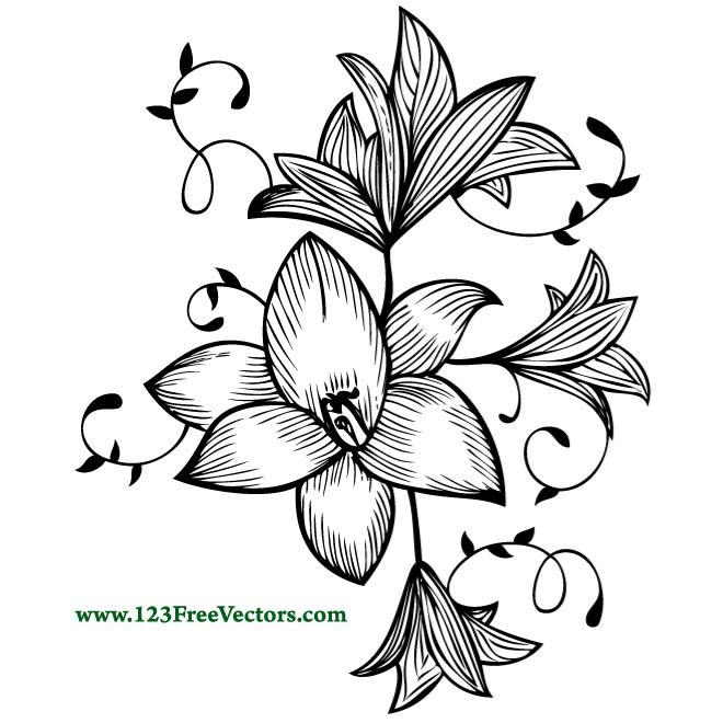 Hand Drawn Flower Plant 660x660 Hand Drawn Flower Plant