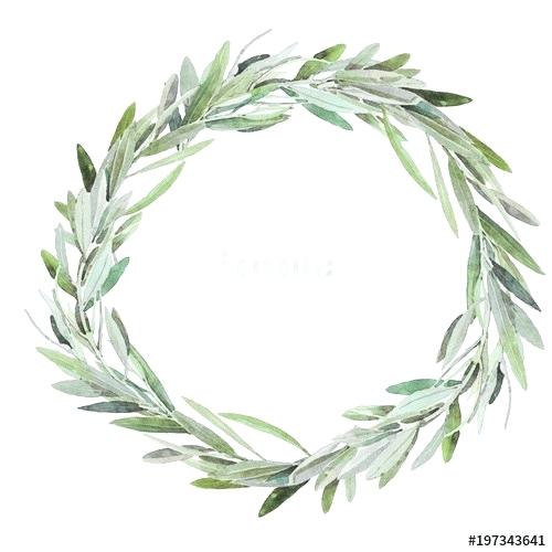 500x500 Olive Wreath Hand Painted Watercolor Olive Wreath Isolated