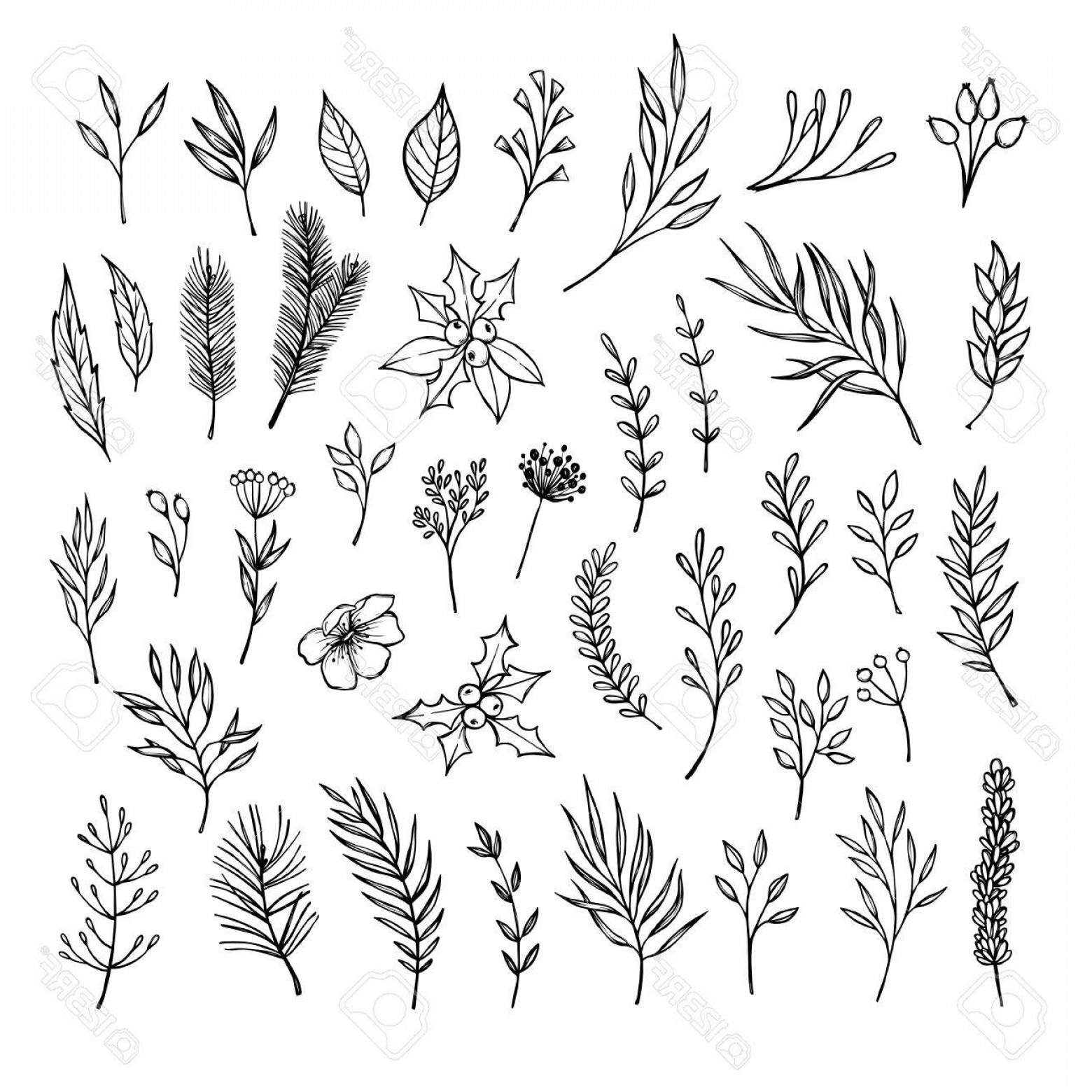 1560x1560 Photostock Vector Hand Drawn Winter Elements Laurel Frame Leaf