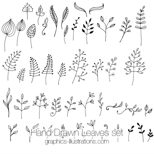 600x600 Hand Drawn Leaves Clip Art Set Drawing How To Draw Hands