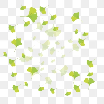 360x360 Hand Drawn Leaves Png, Vector, And Clipart With Transparent