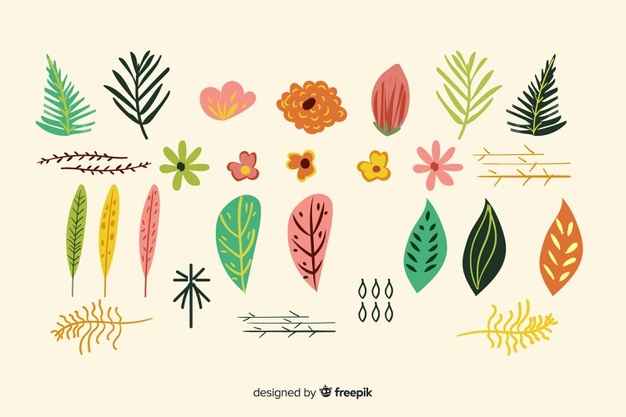 626x417 Hand Drawn Leaves Vectors, Photos And Free Download