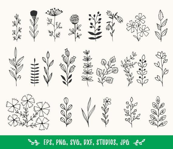 570x491 Hand Drawn Leaves And Branches Design Elements Vector Clip