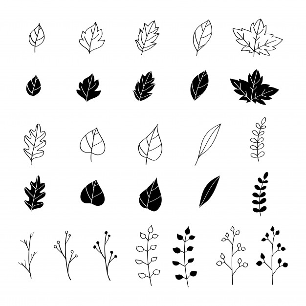 626x626 Hand Drawn Leaves Collection Vector Free Download