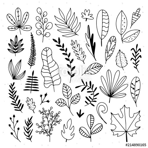 500x500 Hand Drawn Leaves Illustration Set Plants And Tree Leaves