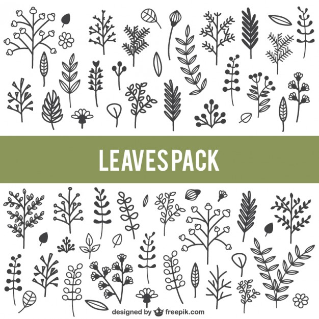 626x626 Hand Drawn Leaves Pack Vector Free Download