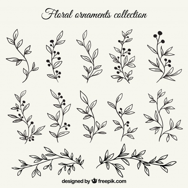 626x626 Set Of Branches With Hand Drawn Leaves Vector Free Download
