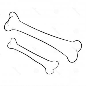 300x300 Stock Illustration Bone Black White Simple Line Vector Hand Drawn