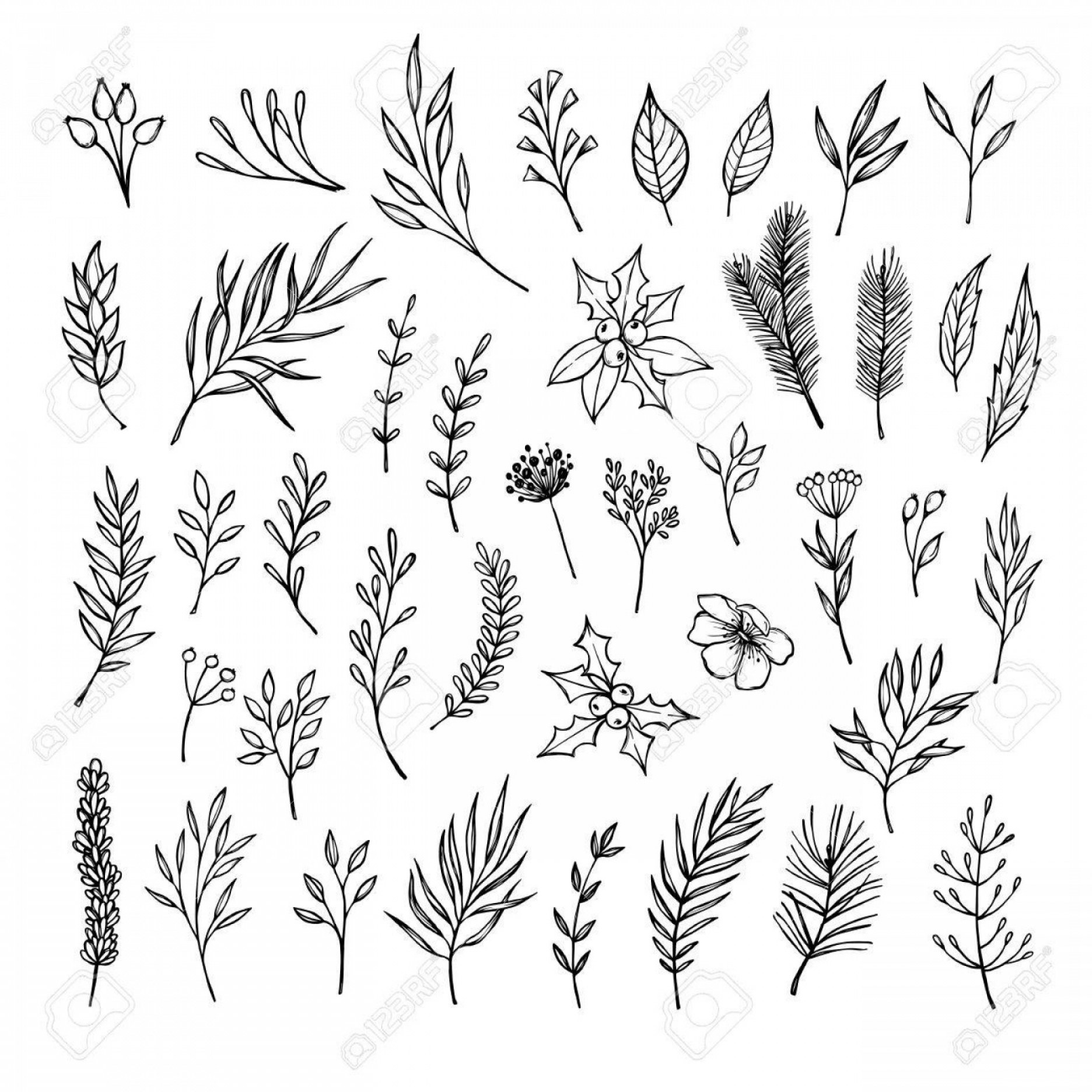 1872x1872 Vector Laurels Hand Drawn Line Createmepink