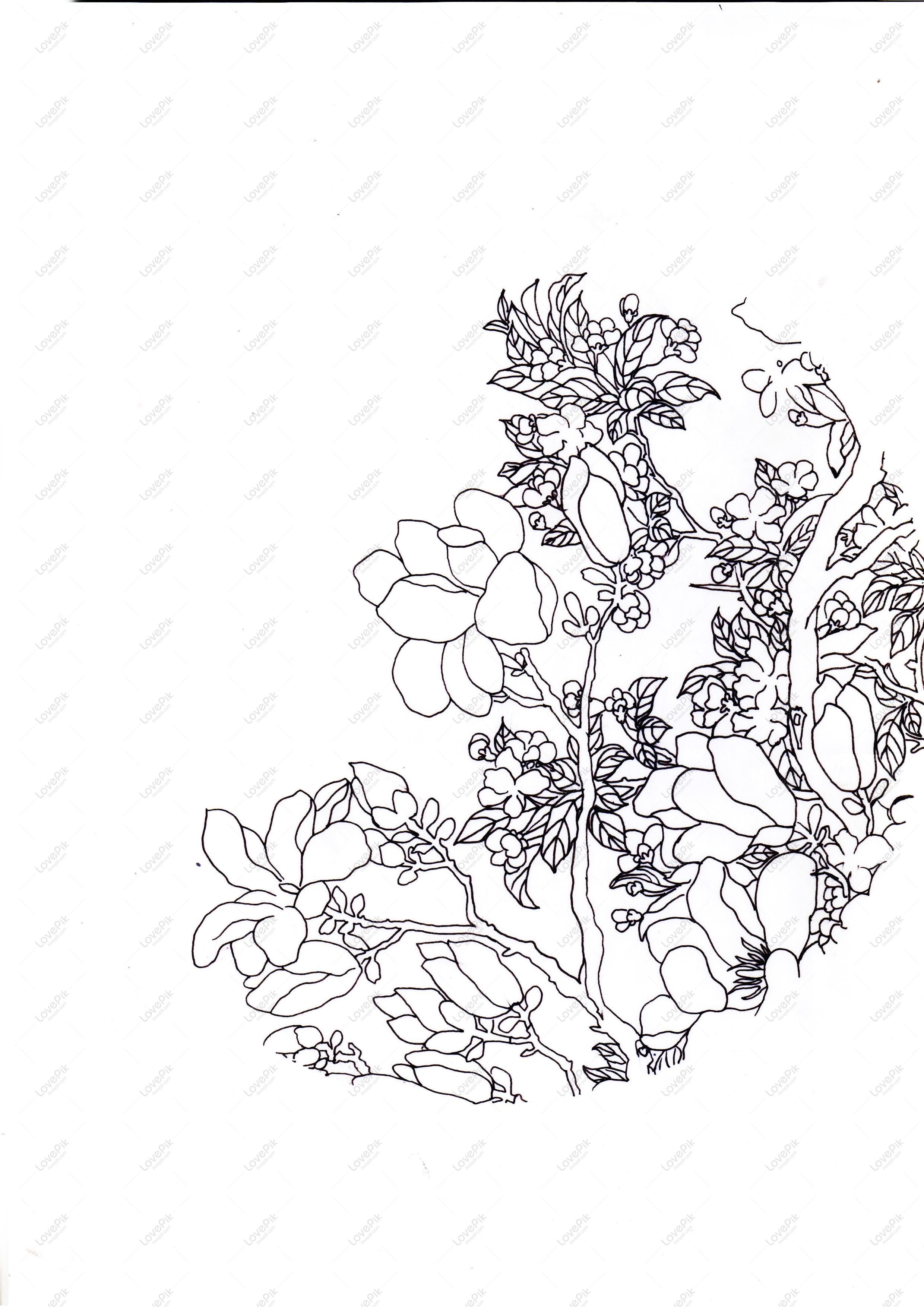 2480x3508 Free Images Download Magnolia Hand Drawn Lines Black And White