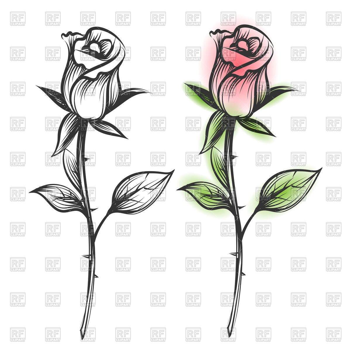 Hand Drawn Roses Vector Image Of Plants And Animals Vectortatu 1200x1200 Hand Drawn Roses Vector Image Of Plants And Animals Vectortatu