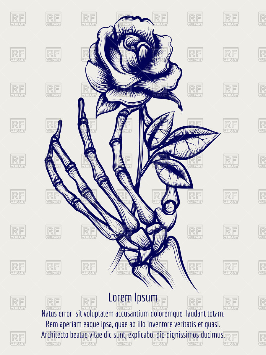 Hand Drawn Sketch Of Skeleton Hand With Rose Vector Image 900x1200 Hand Drawn Sketch Of Skeleton Hand With Rose Vector Image