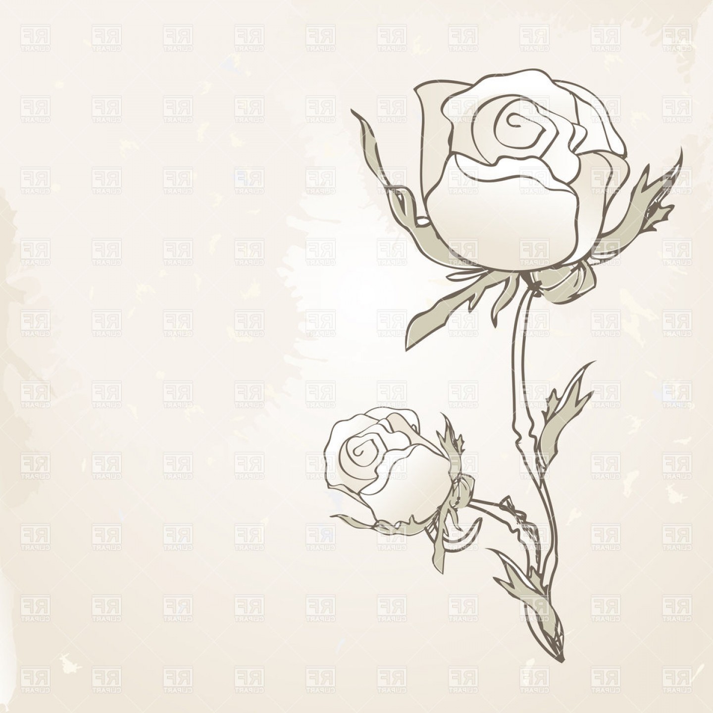 Retro Rose Vector Lamaison 1440x1440 Retro Rose Vector Lamaison