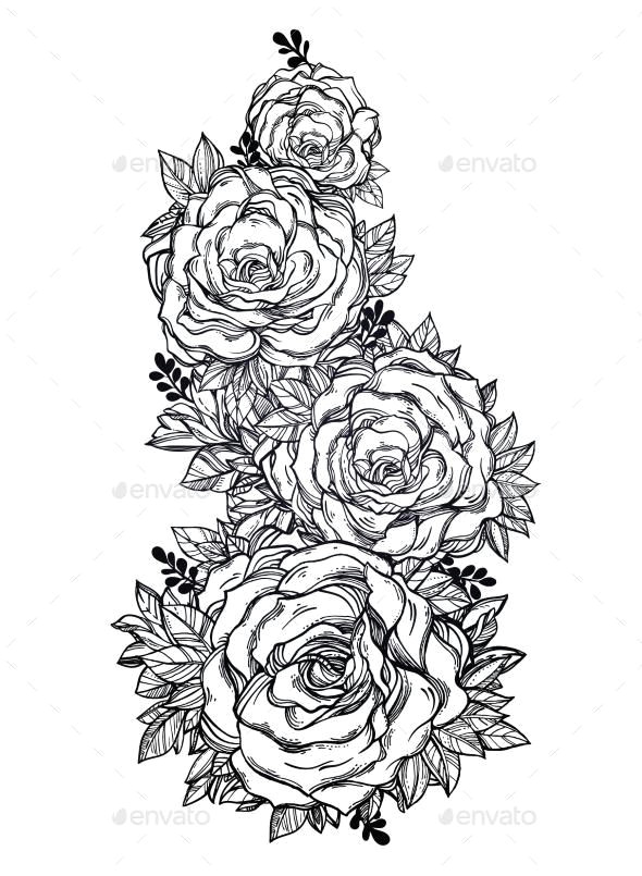 Vector Drawing Of A Rose Vintage Floral Highly Detailed Hand Drawn 590x805 Vector Drawing Of A Rose Vintage Floral Highly Detailed Hand Drawn