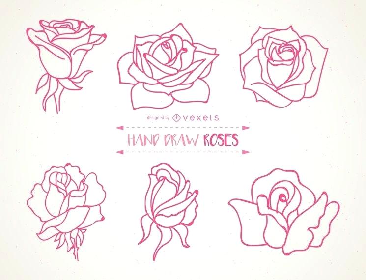 Hand Drawn Rose Pictures 745x570 Hand Drawn Rose Pictures