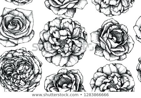 Hand Drawn Roses Alter 450x313 Hand Drawn Roses Alter