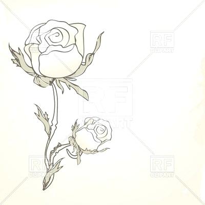 Hand Drawn Roses Person 400x400 Hand Drawn Roses Person