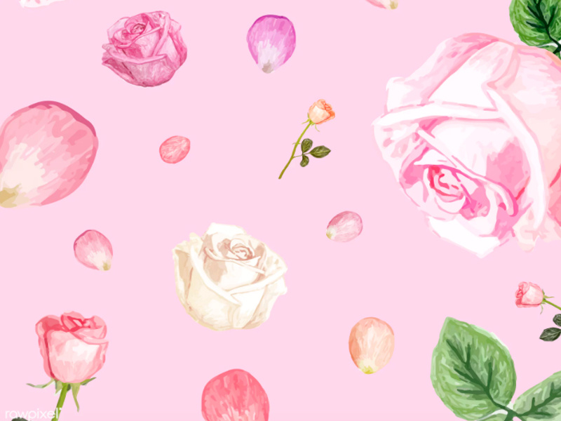 Free Hand Drawn Rose Vectors 800x600 Free Hand Drawn Rose Vectors