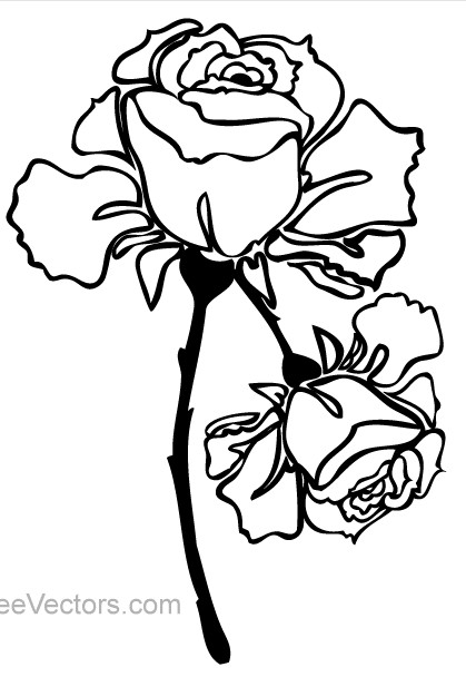 Hand Drawn Rose Image Vector Design Free Download 419x608 Hand Drawn Rose Image Vector Design Free Download