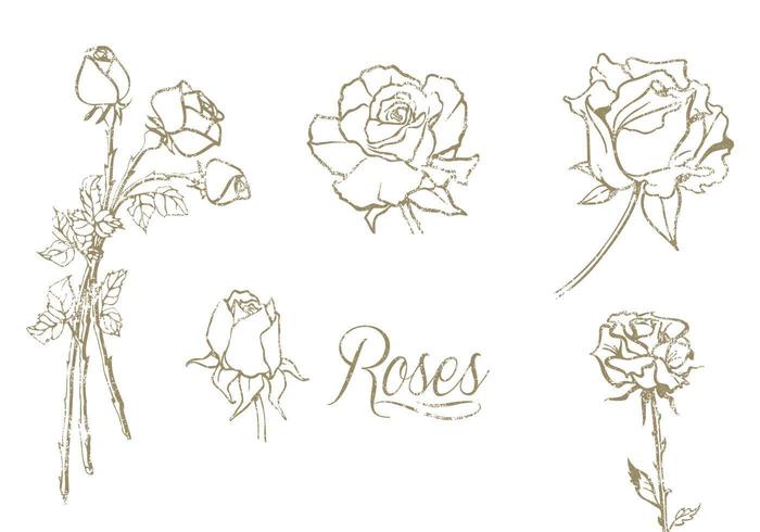 Hand Drawn Roses Vector Set 700x490 Hand Drawn Roses Vector Set