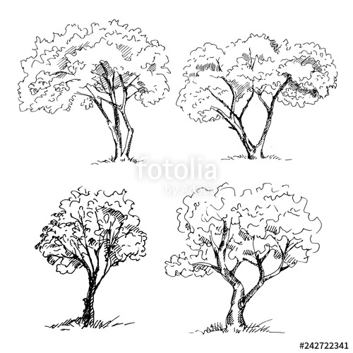 500x500 Hand Drawn Trees Set Vector Illustration Stock Image