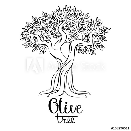 500x500 Olive Tree Vector Illustration Olive Oil Vector Olive Tree
