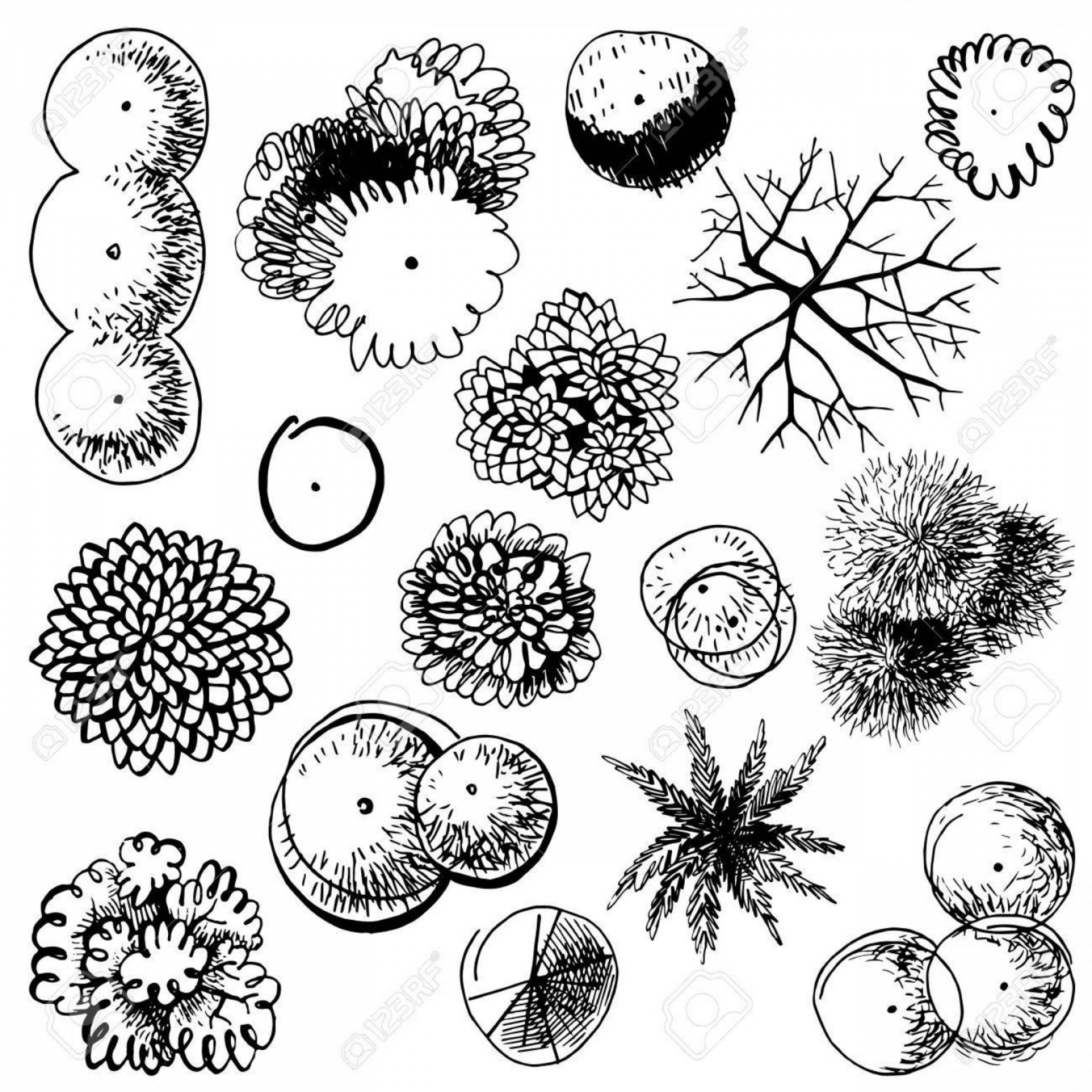 1872x1872 Photostock Vector Hand Drawn Trees Top View Easy To Use In Your