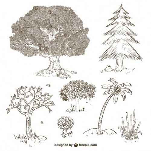 500x500 Tree Vector Free Editable Illustrations To Download
