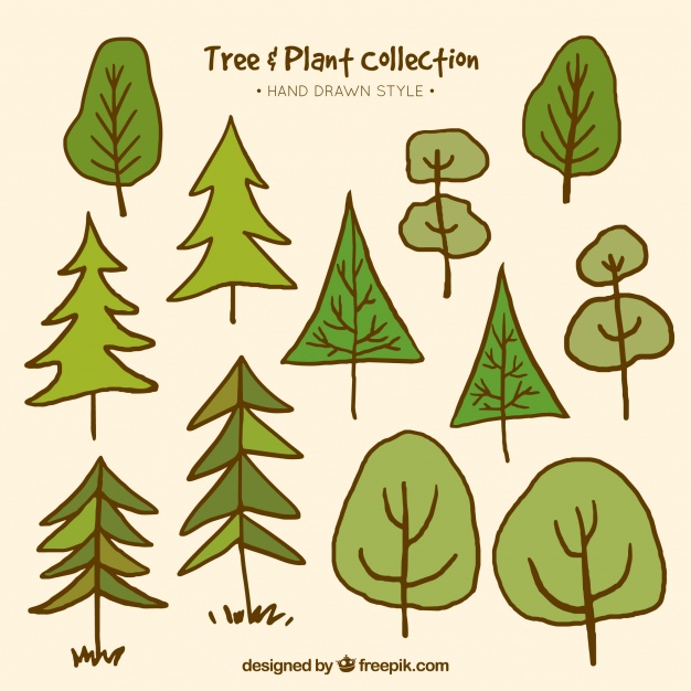 626x626 Collection Of Hand Drawn Trees Vector Free Download