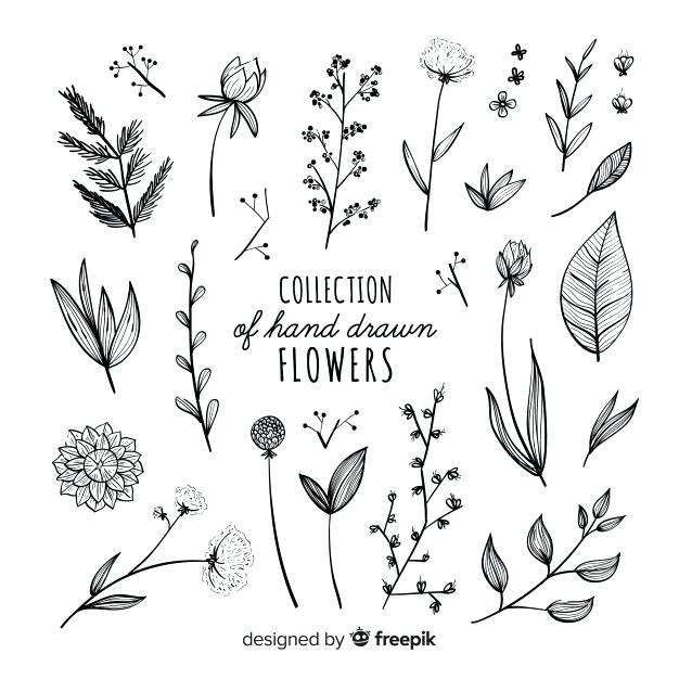 626x626 Vector Hand Drawn Flowers