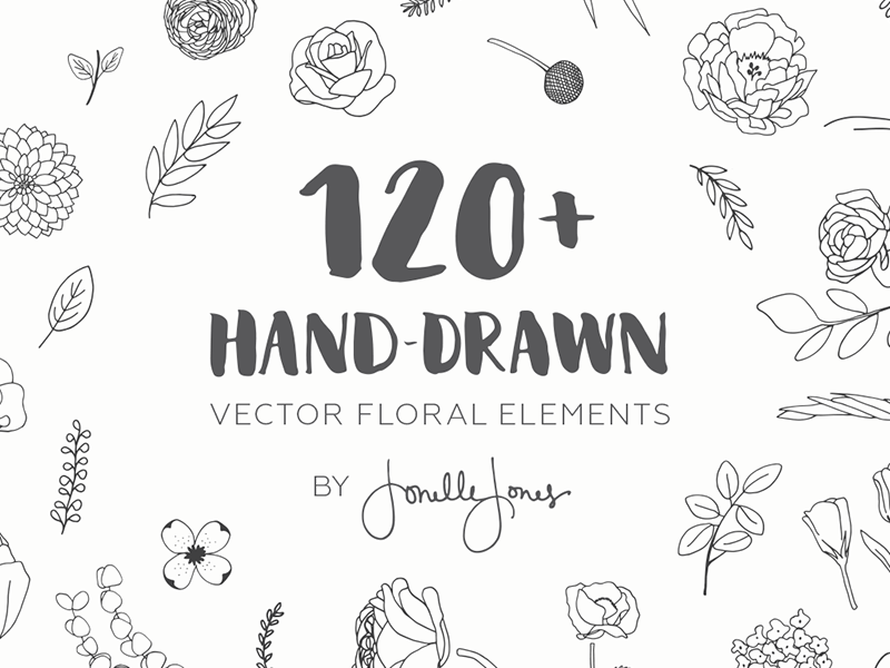 800x600 Hand Drawn Vector Floral Elements