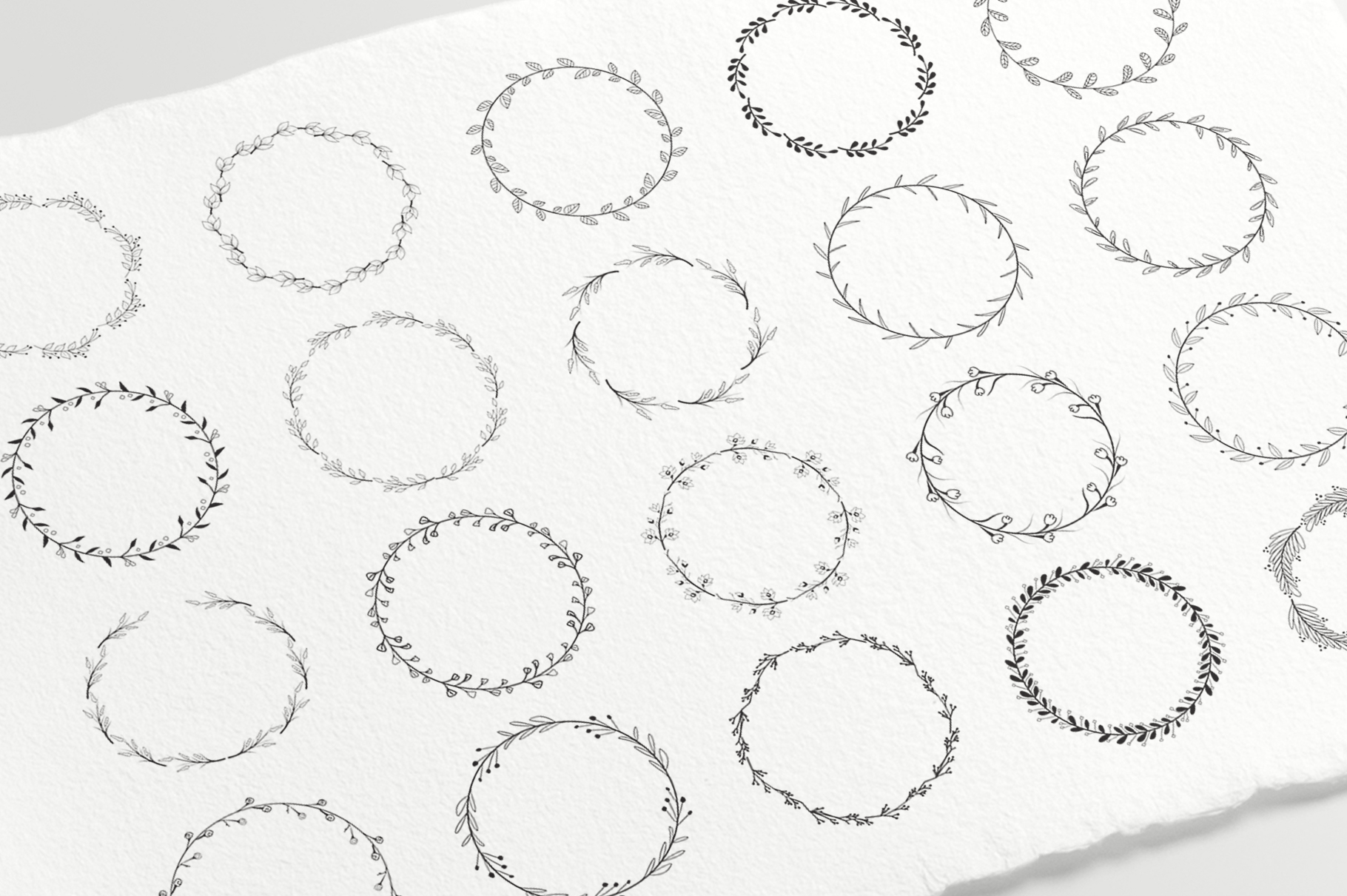 1820x1211 Hand Drawn Botanical Vector Elements