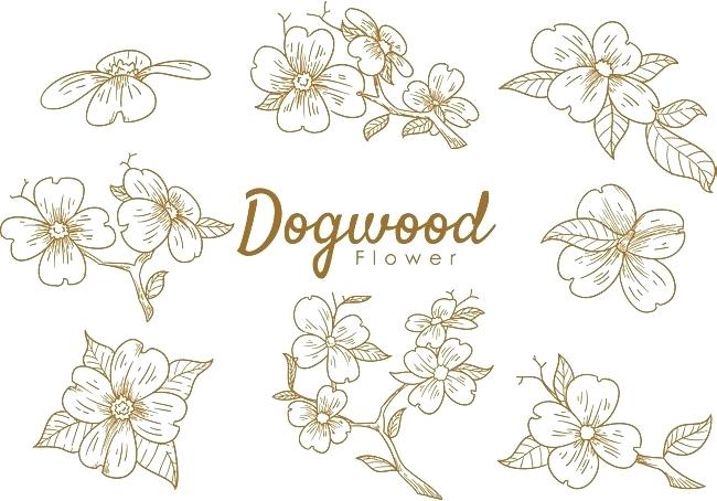 Drawn Flowers Vector 650x454 Drawn Flowers Vector