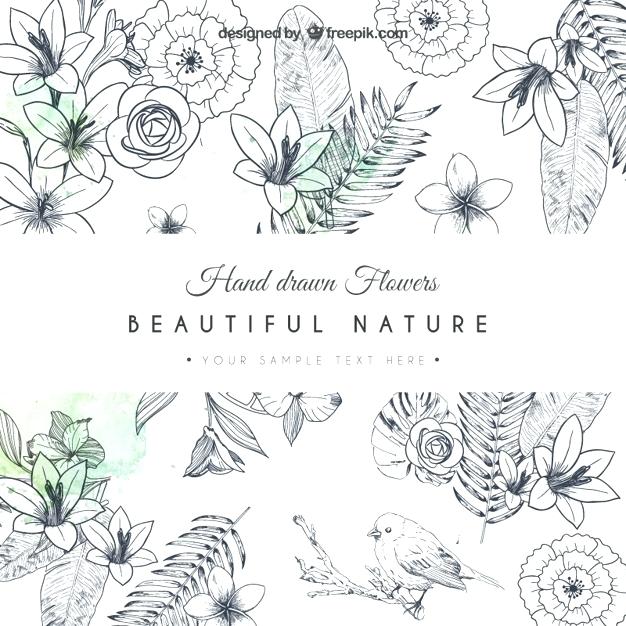 Hand Drawn Flowers Feralscrutiny 626x626 Hand Drawn Flowers Feralscrutiny