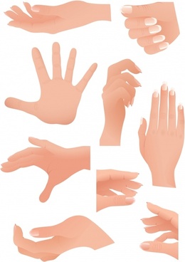 260x368 Hand Gestures Vectors Free Vector Download