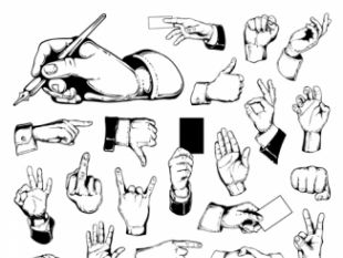 310x233 Different Hand Gesture Vector Set Free Vectors Ui Download