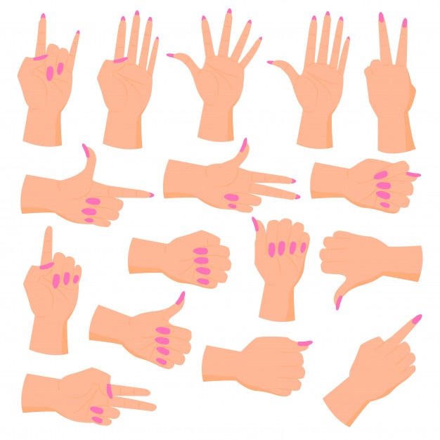 626x626 Hands Vectors, Photos And Free Download