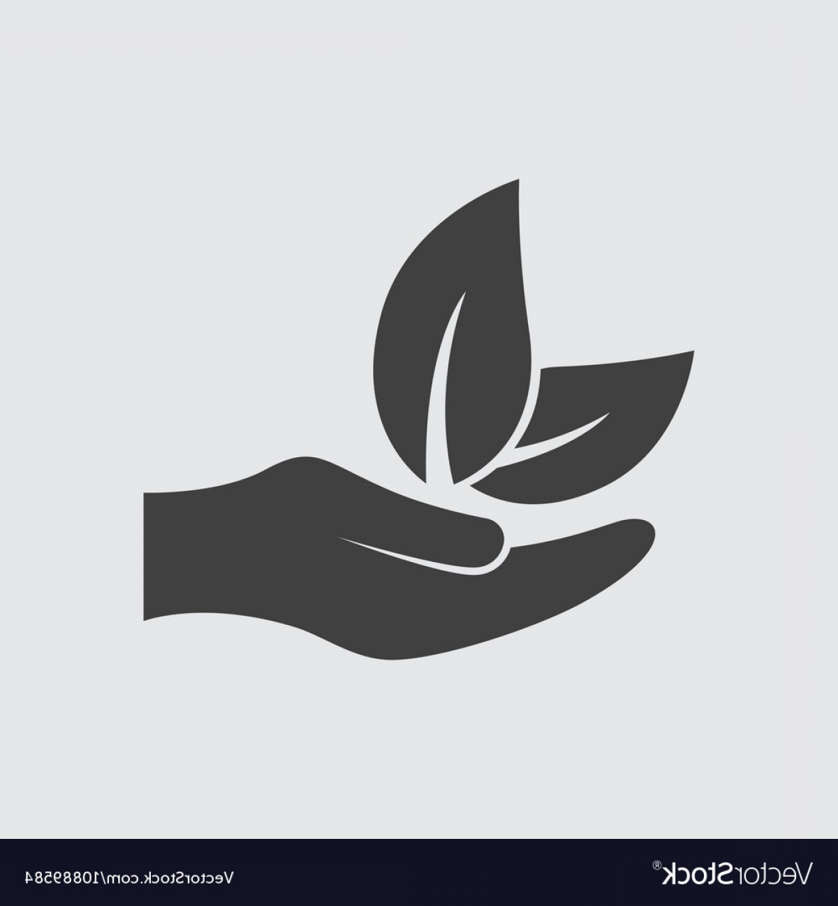 1200x1296 Leaf On Hand Icon Vector Handandbeak