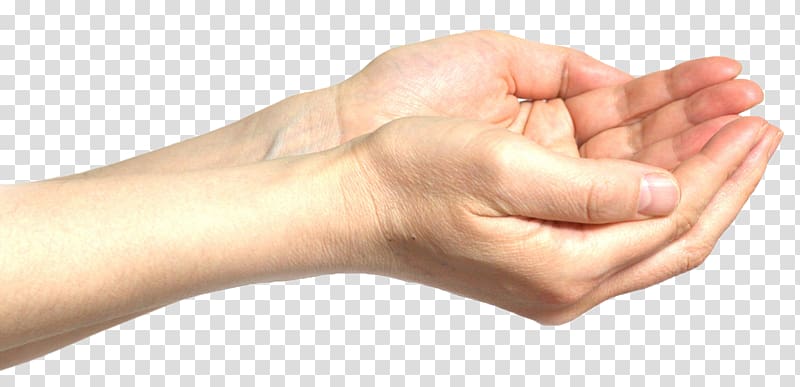 800x387 Human Hands Illustration, Hand Gesture Euclidean Holding Hands